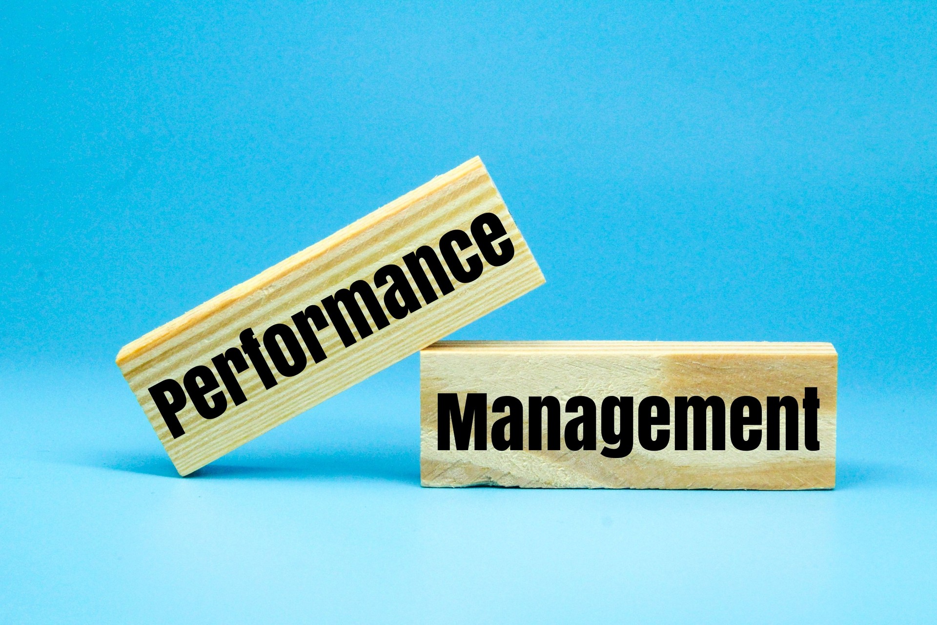 stick with the word Performance Management. systematic approach within organizations to enhance employee effectiveness, align individual goals with company objectives